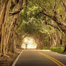 Top 5 Popular Cycling Holidays